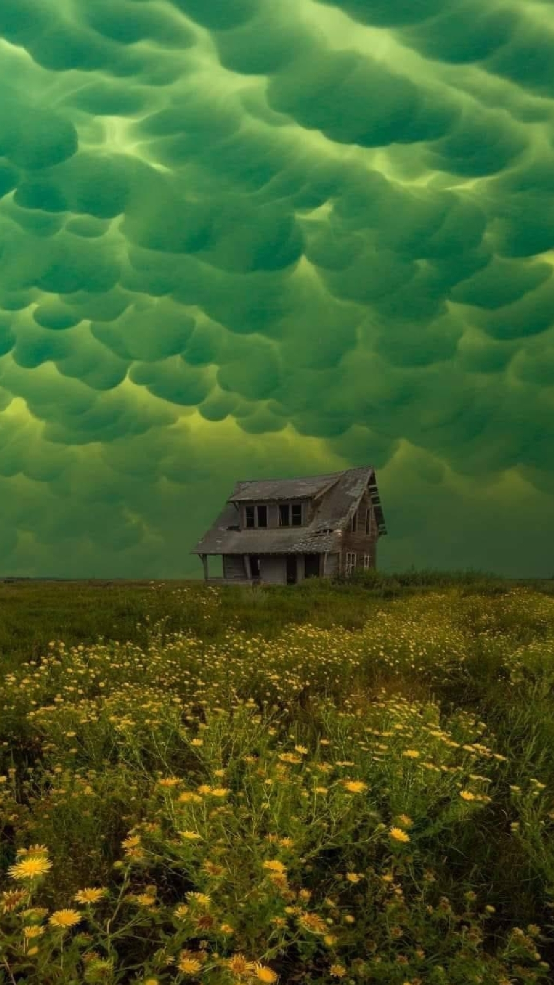 The Dreamlands.jpg