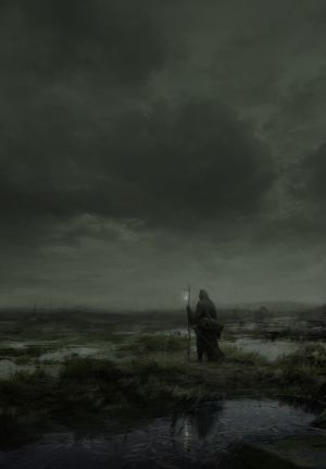 Fellfen bog.jpg